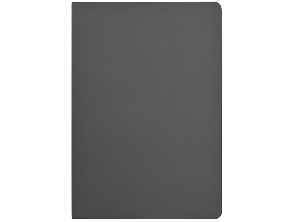 Бизнес-тетрадь А5 Pragmatic Contrast, 40 листов в клетку, серый с черным срезом-2