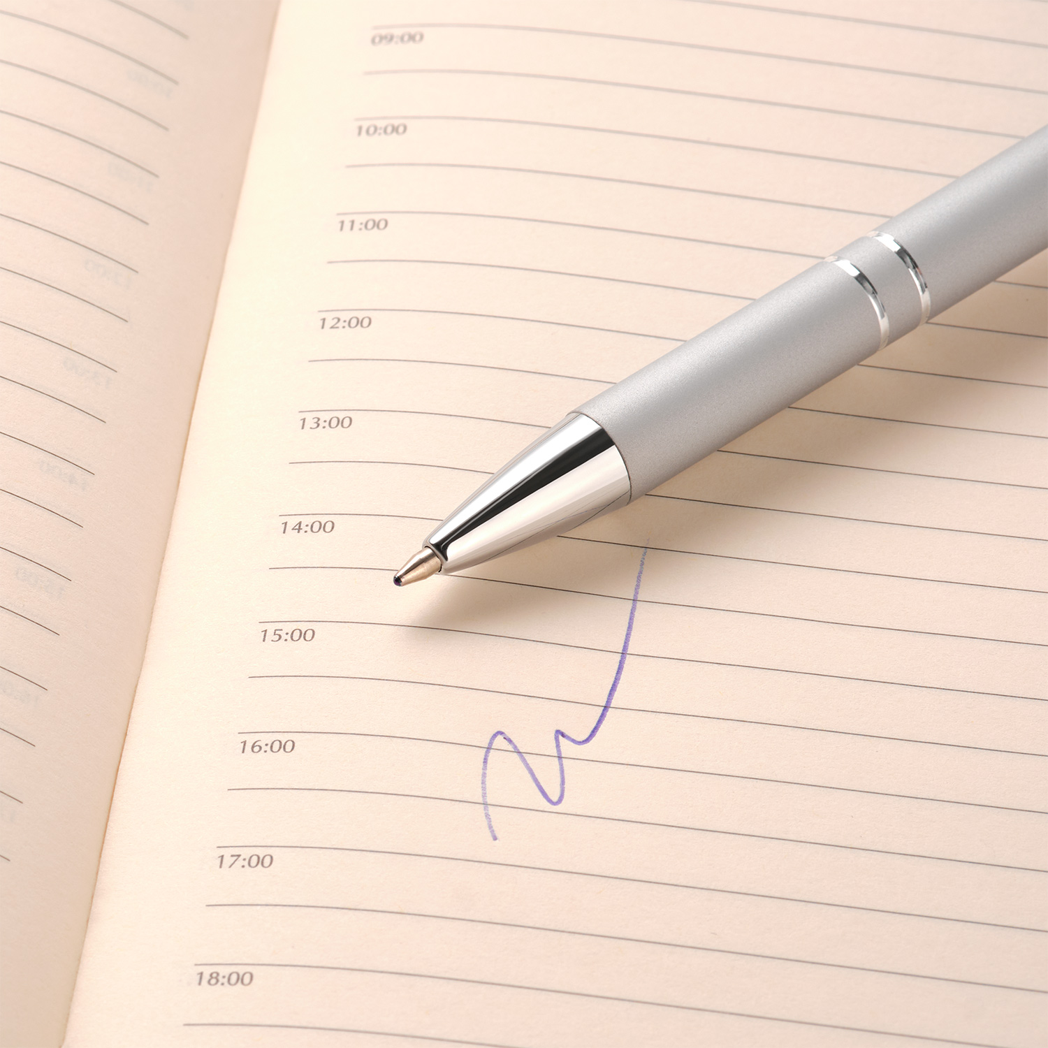 Шариковая ручка Alpha, серебряная-3