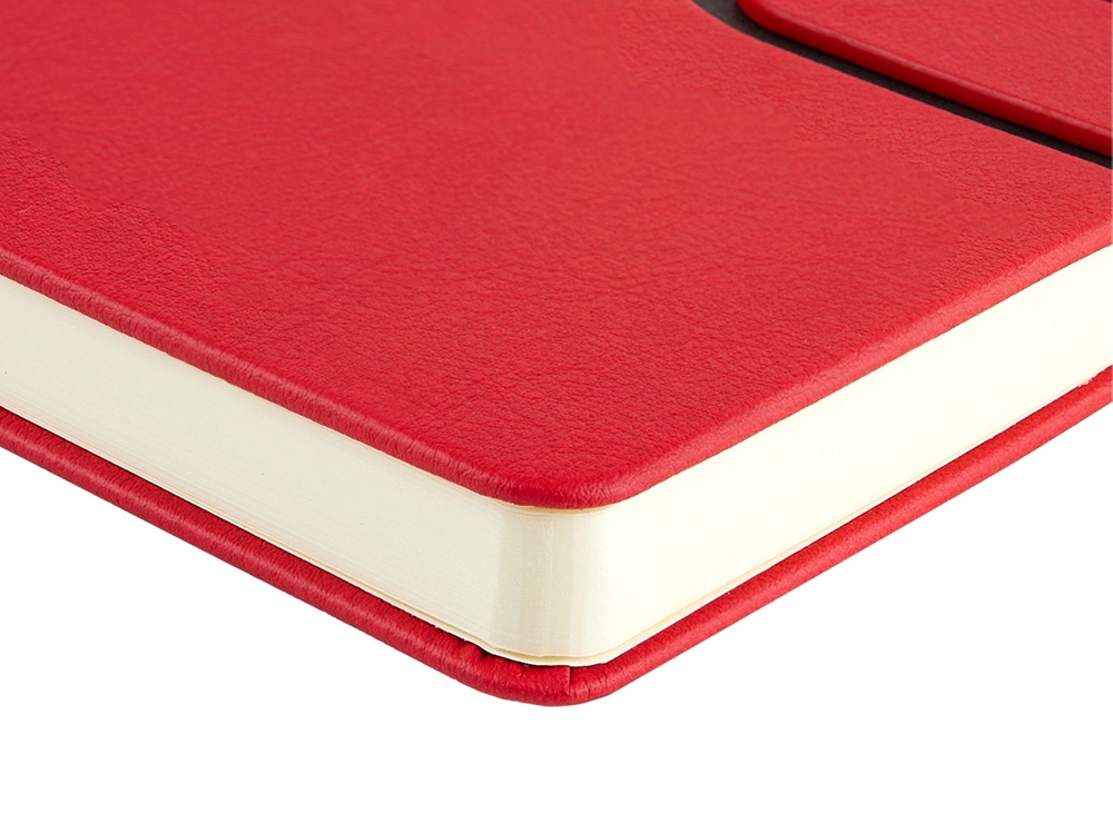 Ежедневник недатированный А5 Status, красный-4