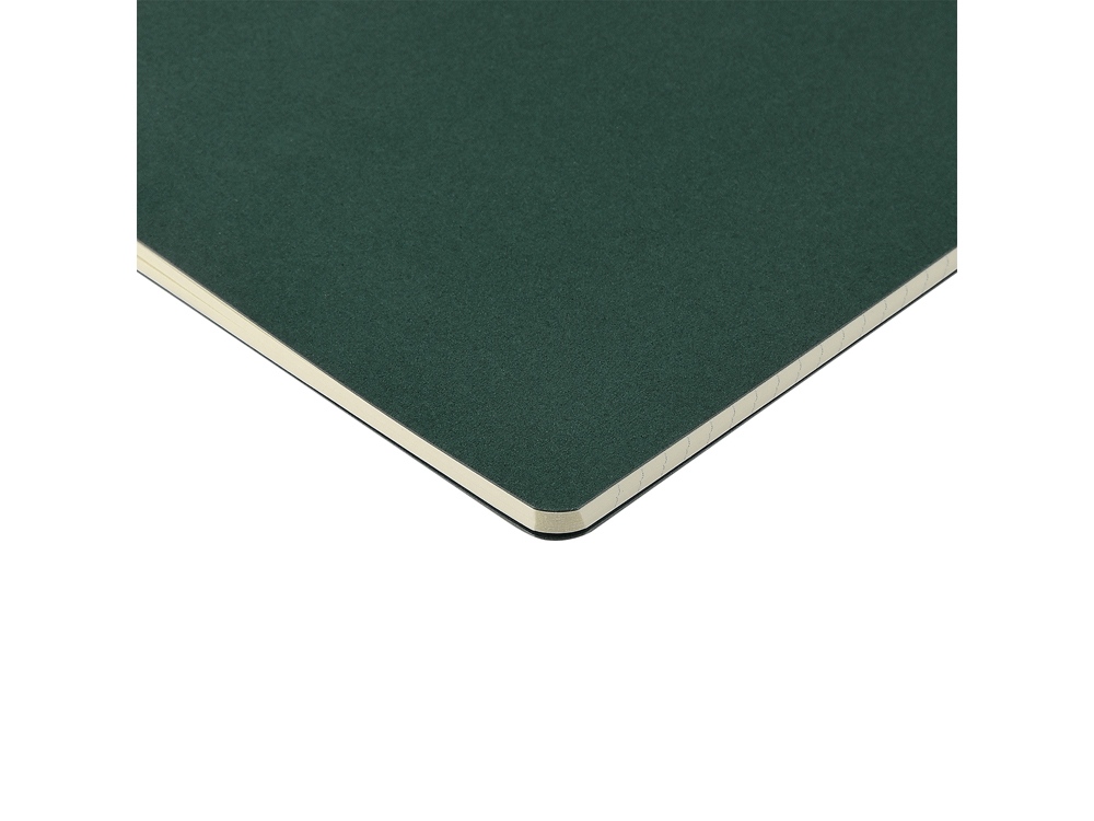 Бизнес-тетрадь А4 Pragmatic,  40л., клетка, зеленый-3