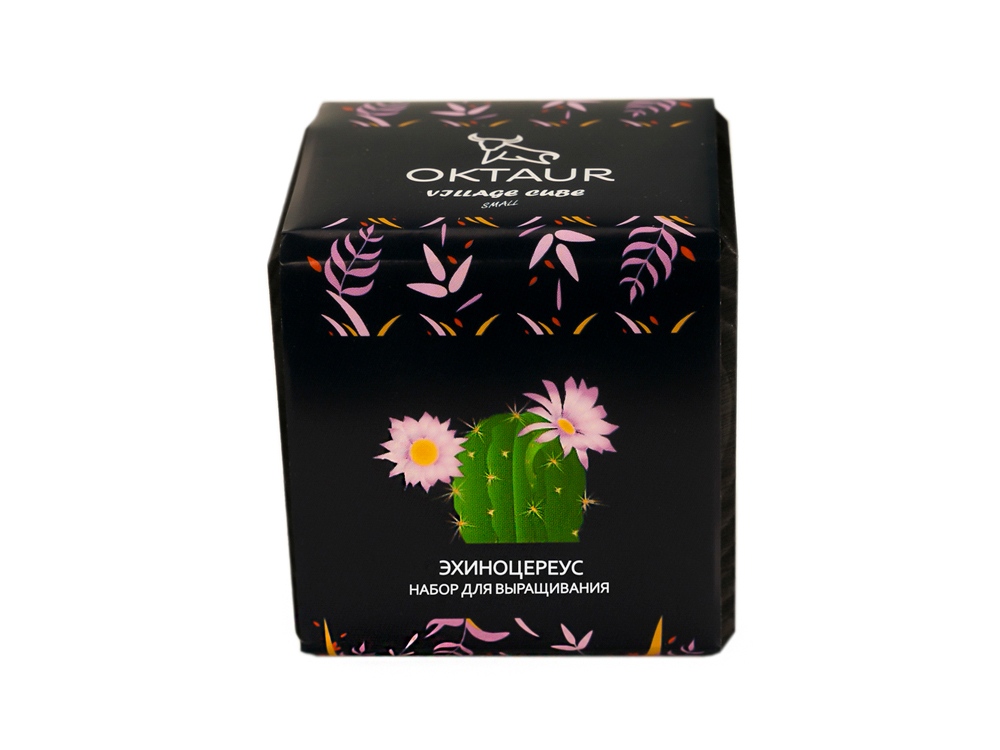 Набор для выращивания Small village cube Эхиноцереус-1