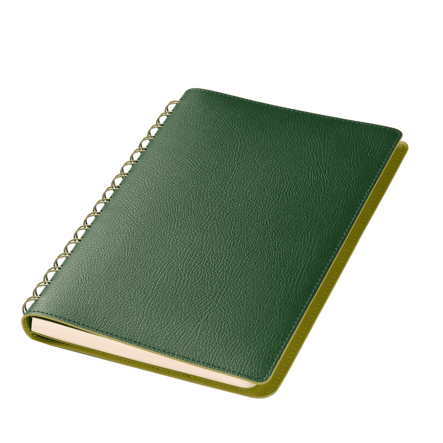 Ежедневник Виста (Vista) недатированный, зеленый/салатовый-1