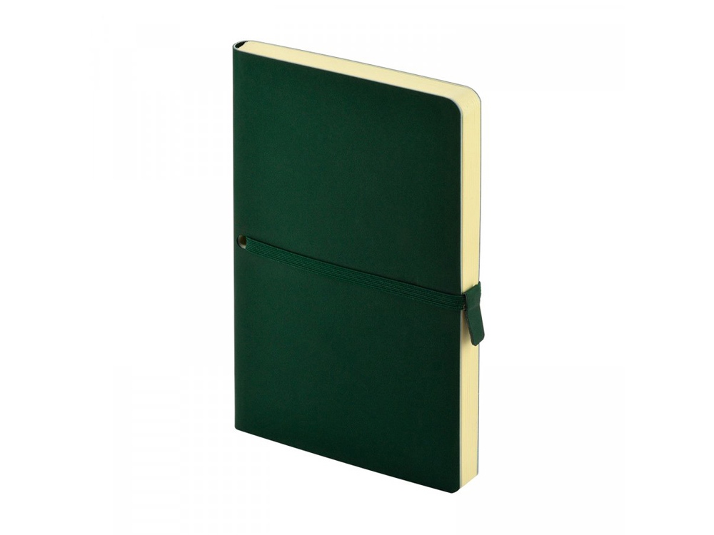 Ежедневник недатированный А5 Tokyo, зеленый-0