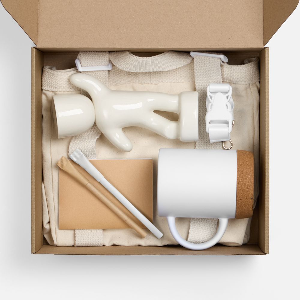 Набор Eco Sapiens Buddy-1