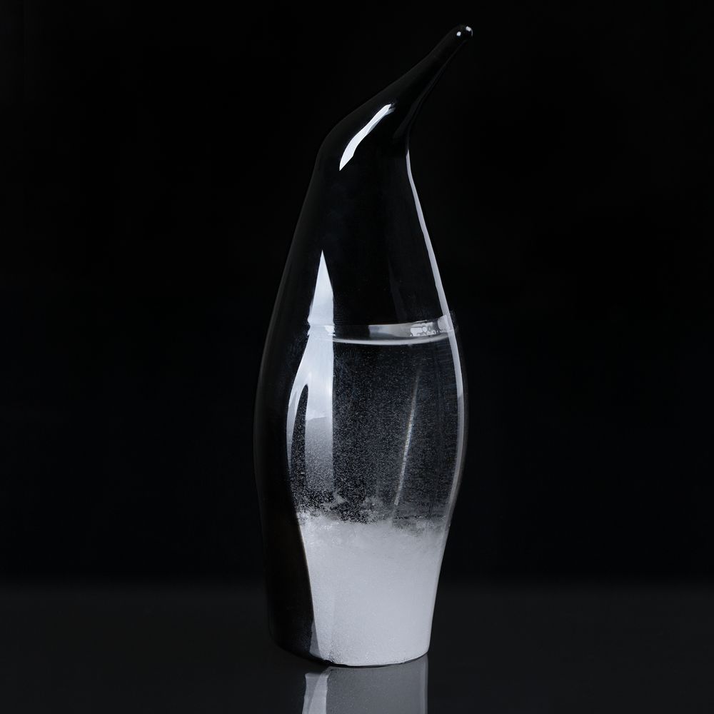 Штормгласс Penguin, черный-2