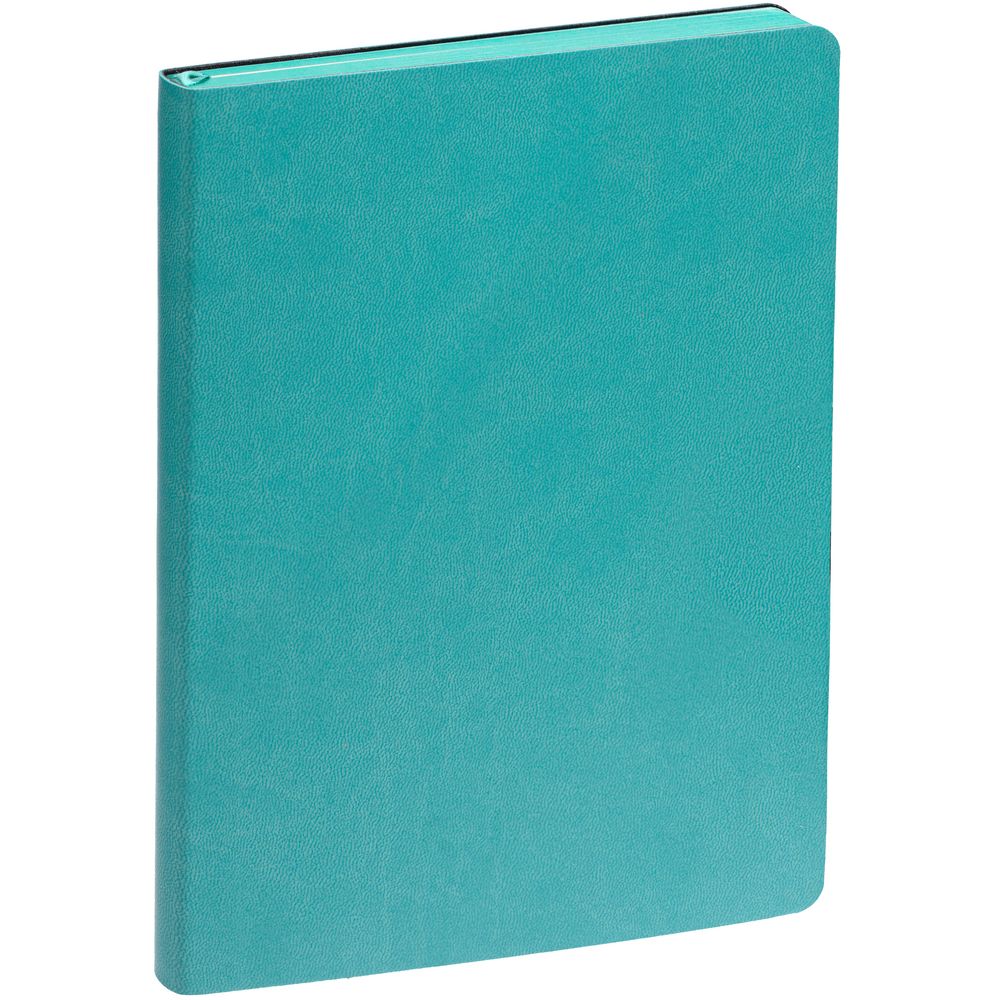 Ежедневник Fredo, недатированный, бирюзовый-1