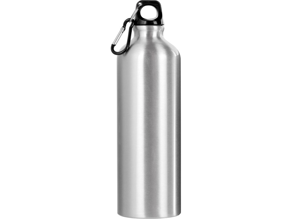 Бутылка Hip M с карабином, 770 мл, серебристый-2