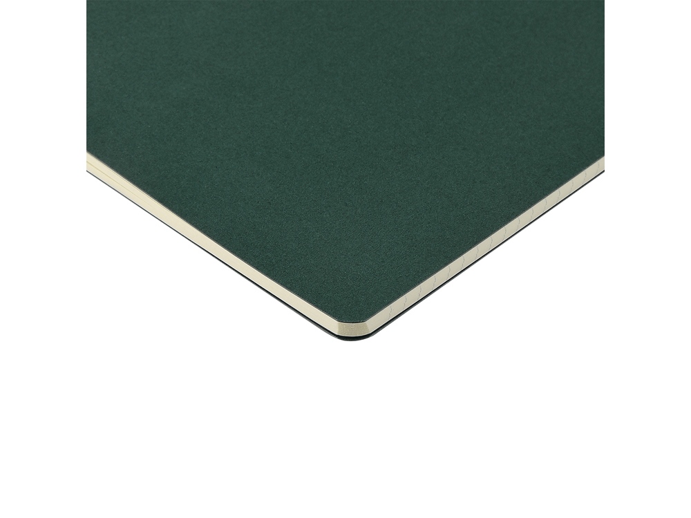 Бизнес тетрадь А5 Pragmatic, 40 листов в клетку, зеленый-3