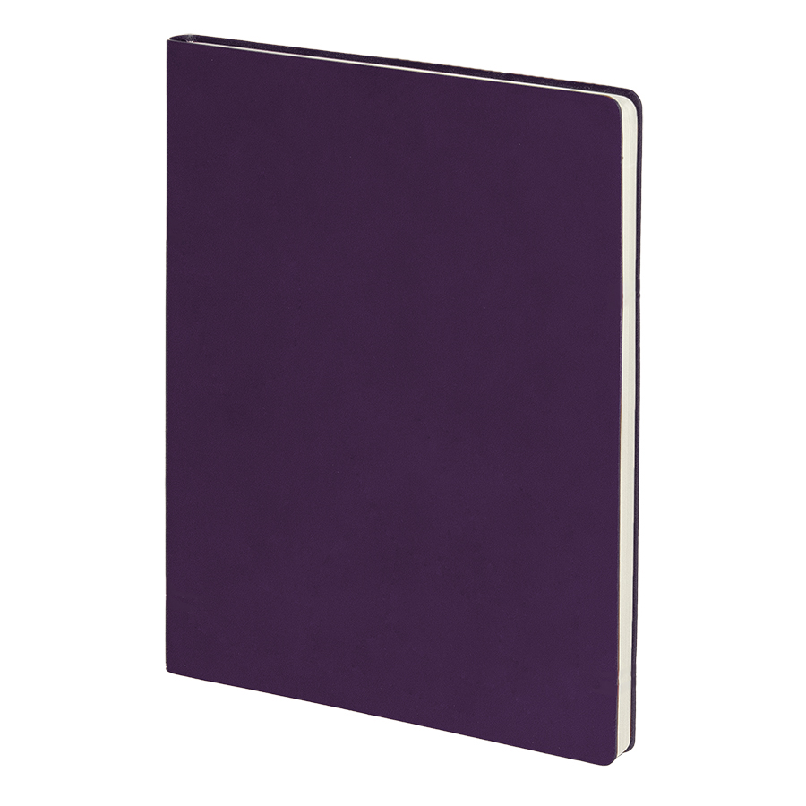 Бизнес-блокнот BIGGY, формат B5,  в клетку, фиолетовый-0