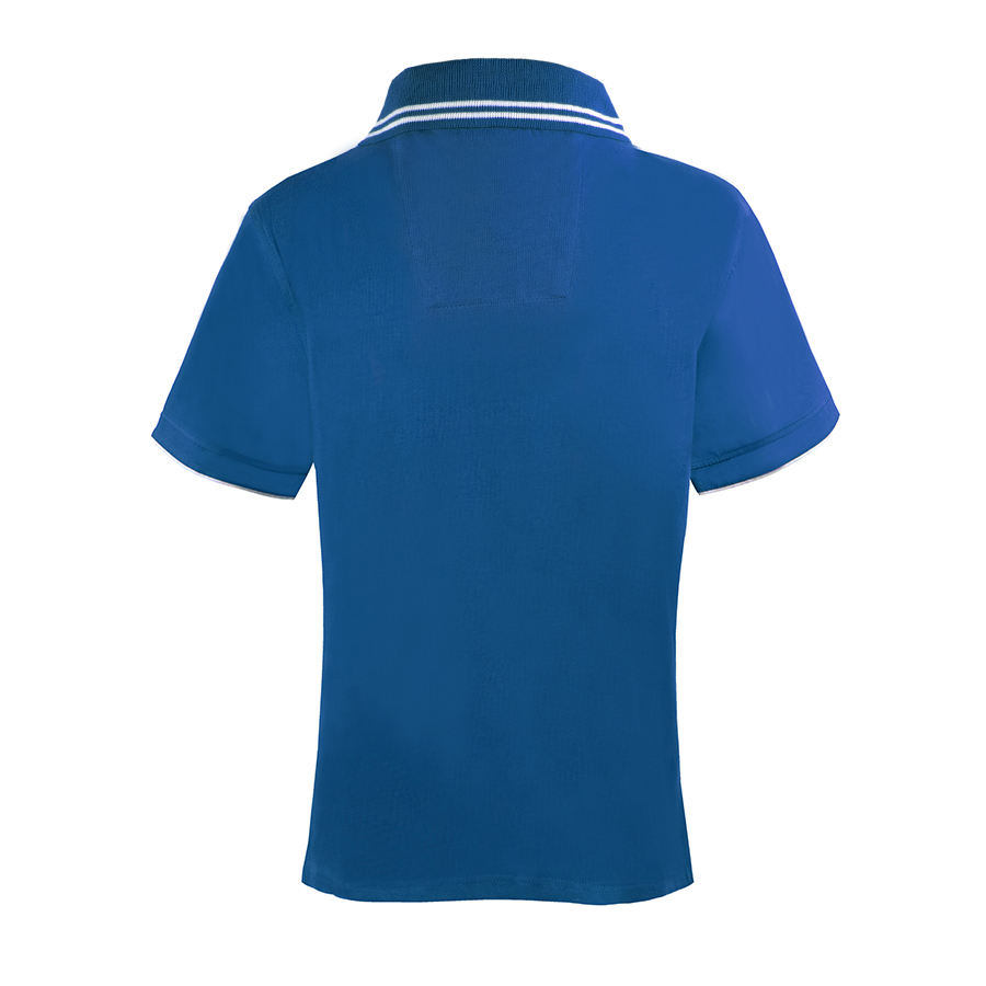 Рубашка поло мужская RODI MAN 180, синий-2