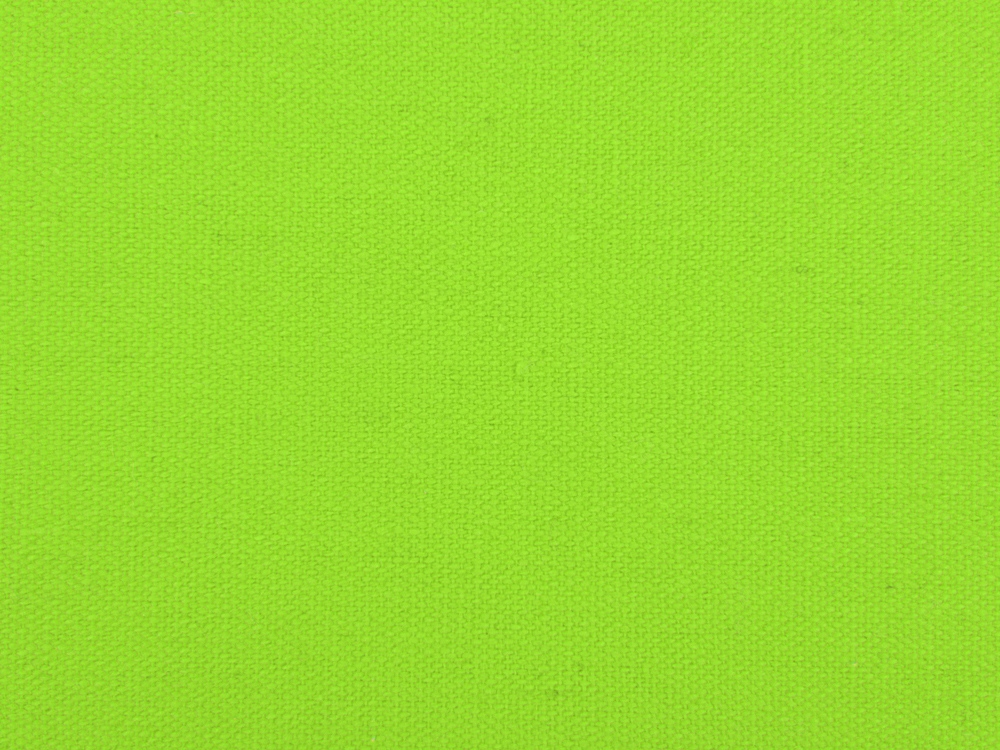 Сумка для шопинга Steady из хлопка с парусиновыми ручками, 260 г/м2, зеленое яблоко-5