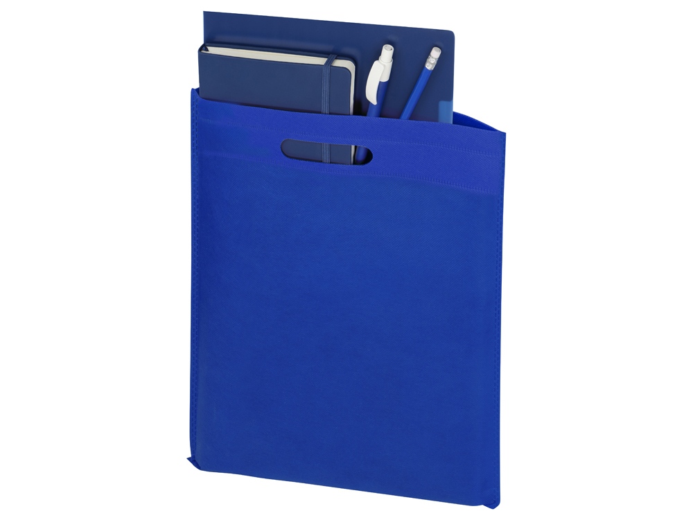 Сумка для выставок Prime, ярко-синий-1