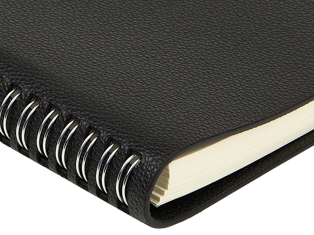 Ежедневник недатированный А5 Alba, черный-4