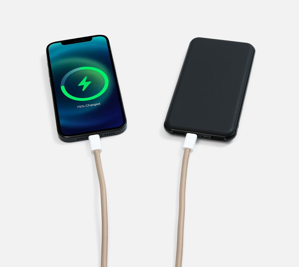 Кабель-ланьярд energyFlex Pro, серо-бежевый-6