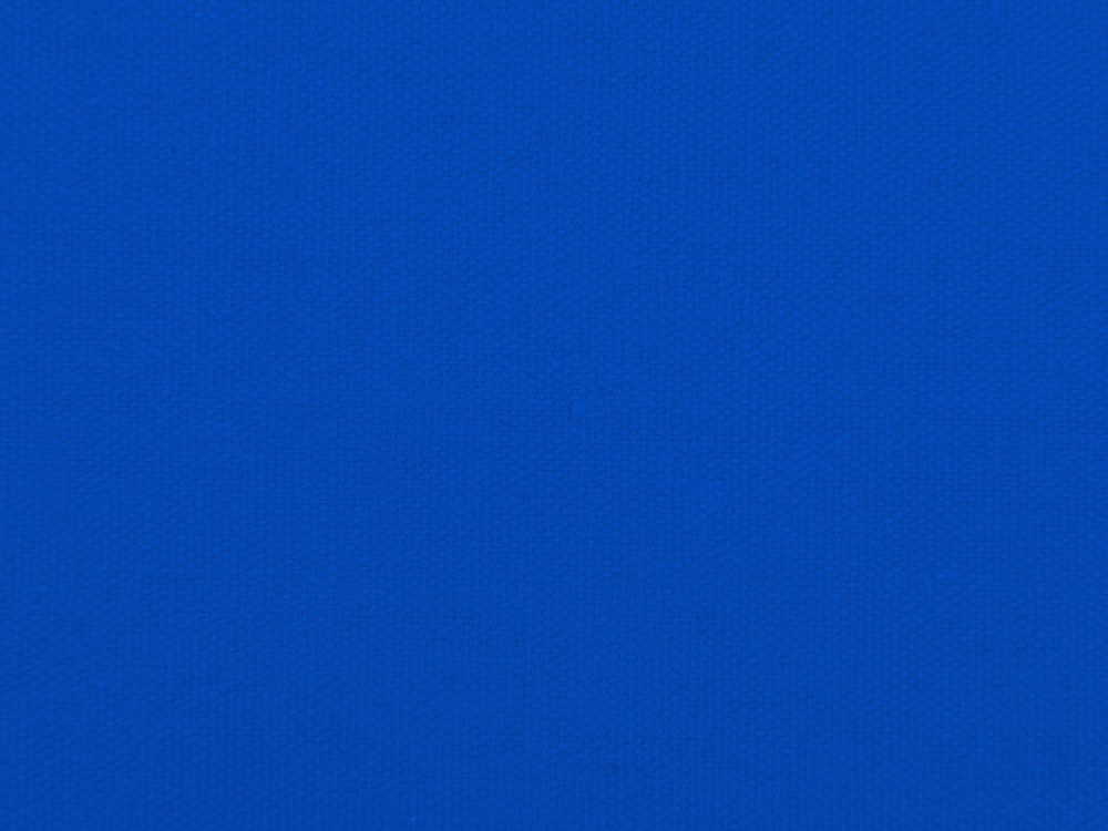 Сумка для шопинга Steady из хлопка с парусиновыми ручками, 260 г/м2, синий-5