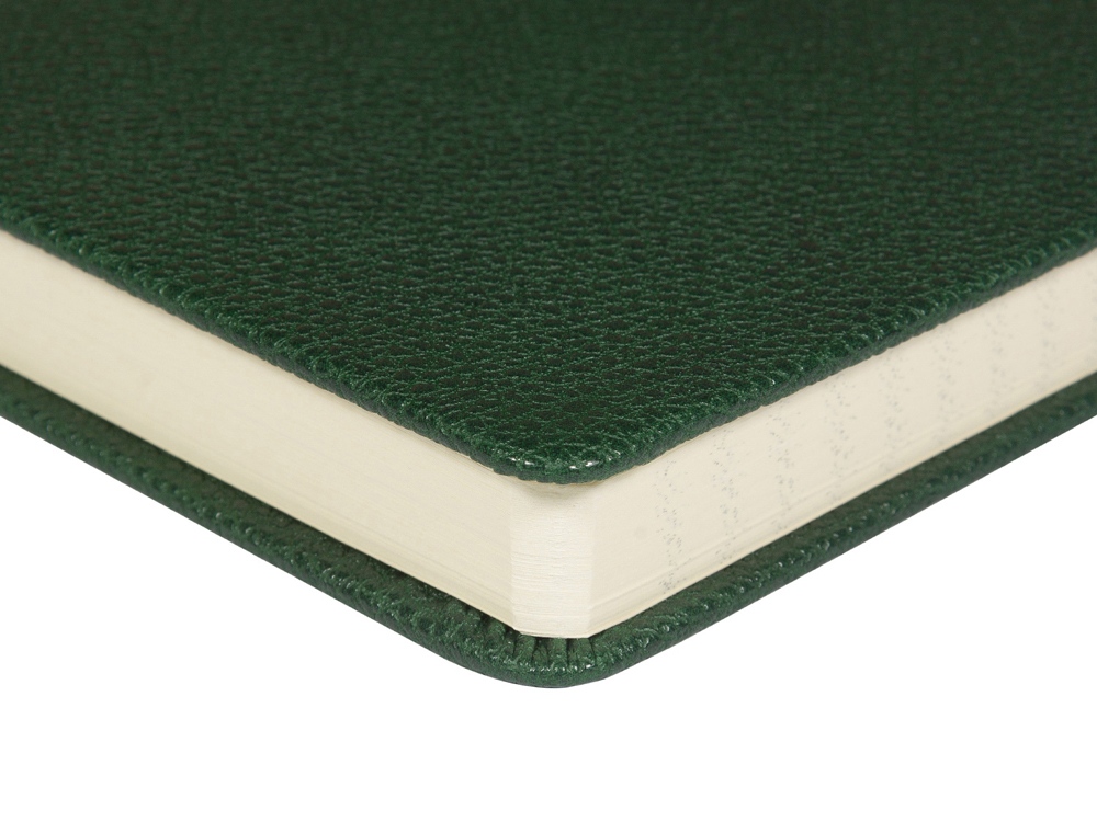 Ежедневник недатированный А5 Loft, зеленый-4