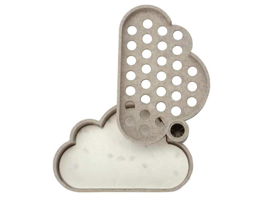 Набор для записей с семенами ромашки Patio-6