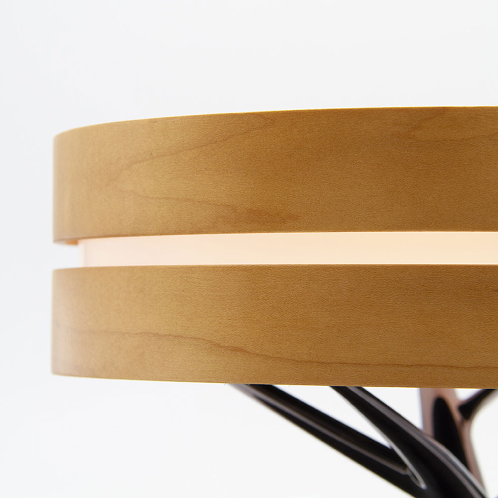 Интерьерная лампа с колонкой и беспроводной зарядкой Aronda, Коричневый-5