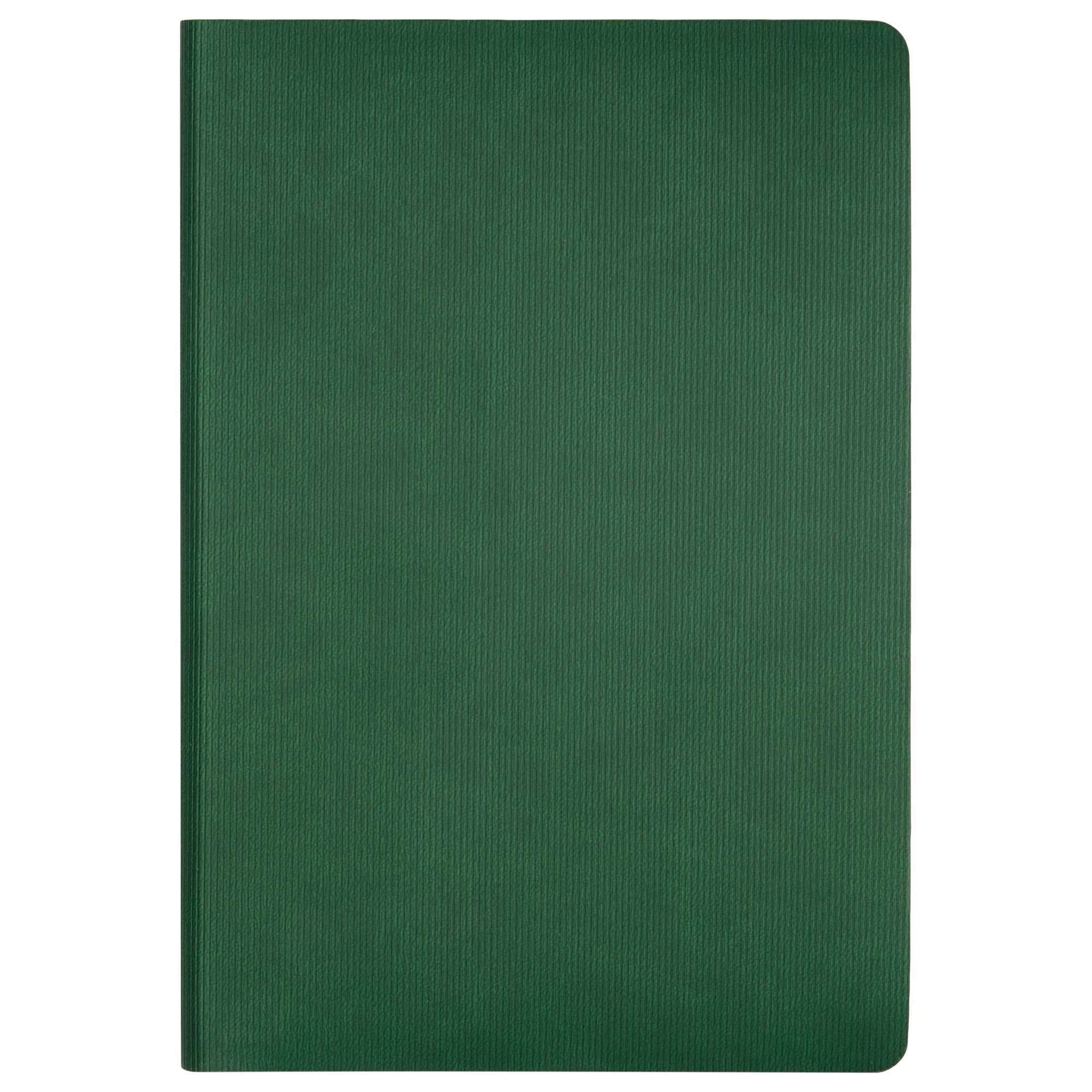 Ежедневник Rain недатированный, зеленый (без упаковки, без стикера)-5