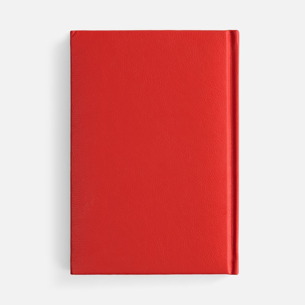 Ежедневник Baza, датированный, красный-2