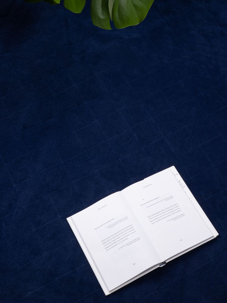 Плед для пикника Soft & Dry 2, синий-7