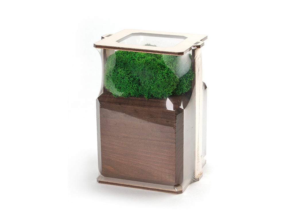 Композиция Мох в интерьере мокко, зеленый-3