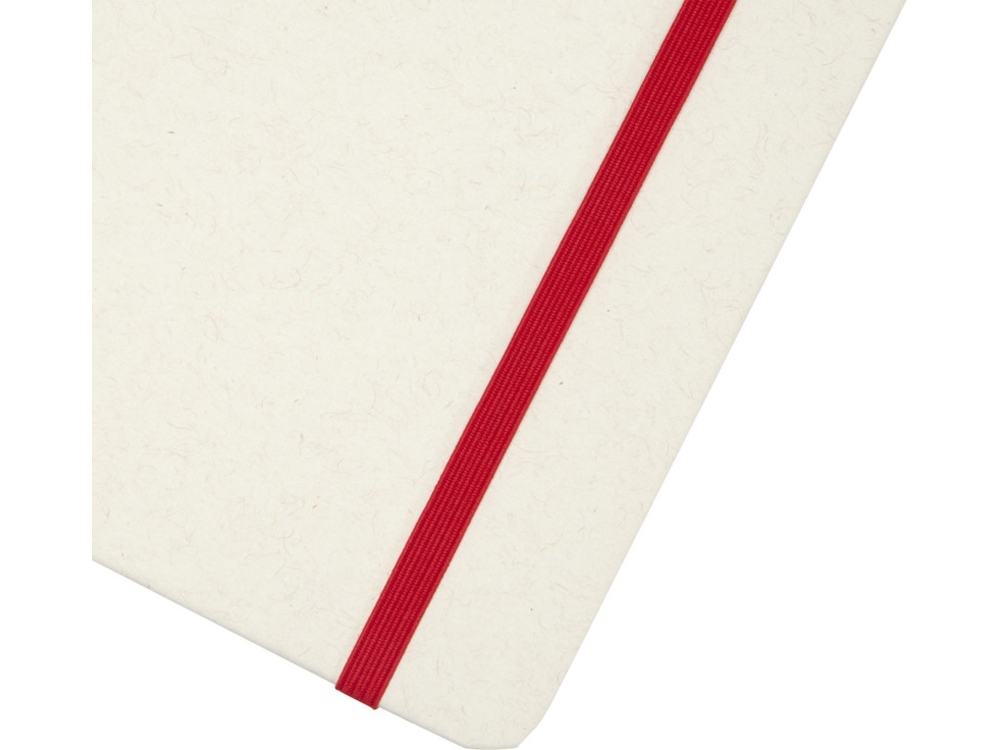 Bass блокнот формата А5 из переработанных материалов, с линованными страницами - Красный-4