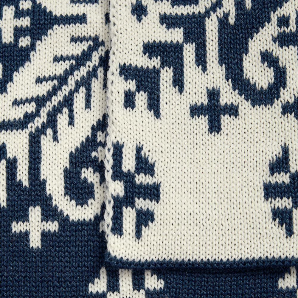 Шарф Wintertude M, синий с белым-2