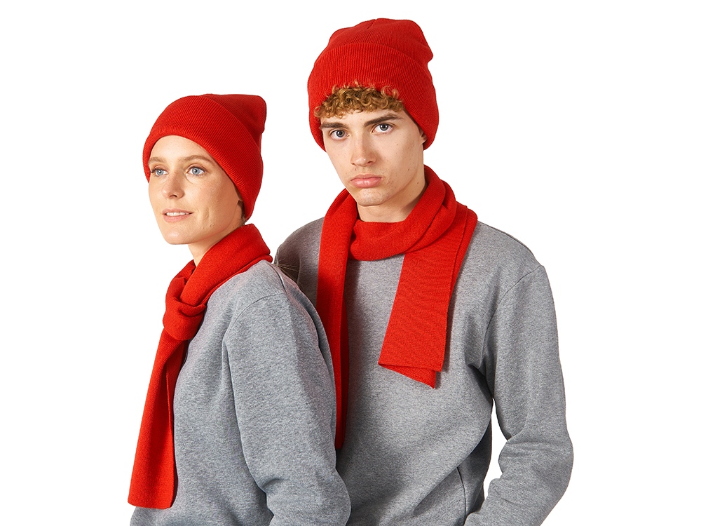 Подарочный набор с варежками, шарфом и термосом,красный-9