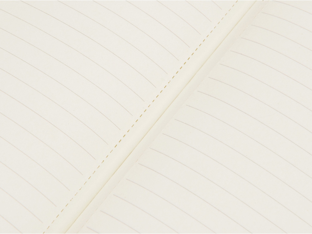 Блокнот Notepeno 130x205 мм с тонированными линованными страницами, зеленое яблоко-4