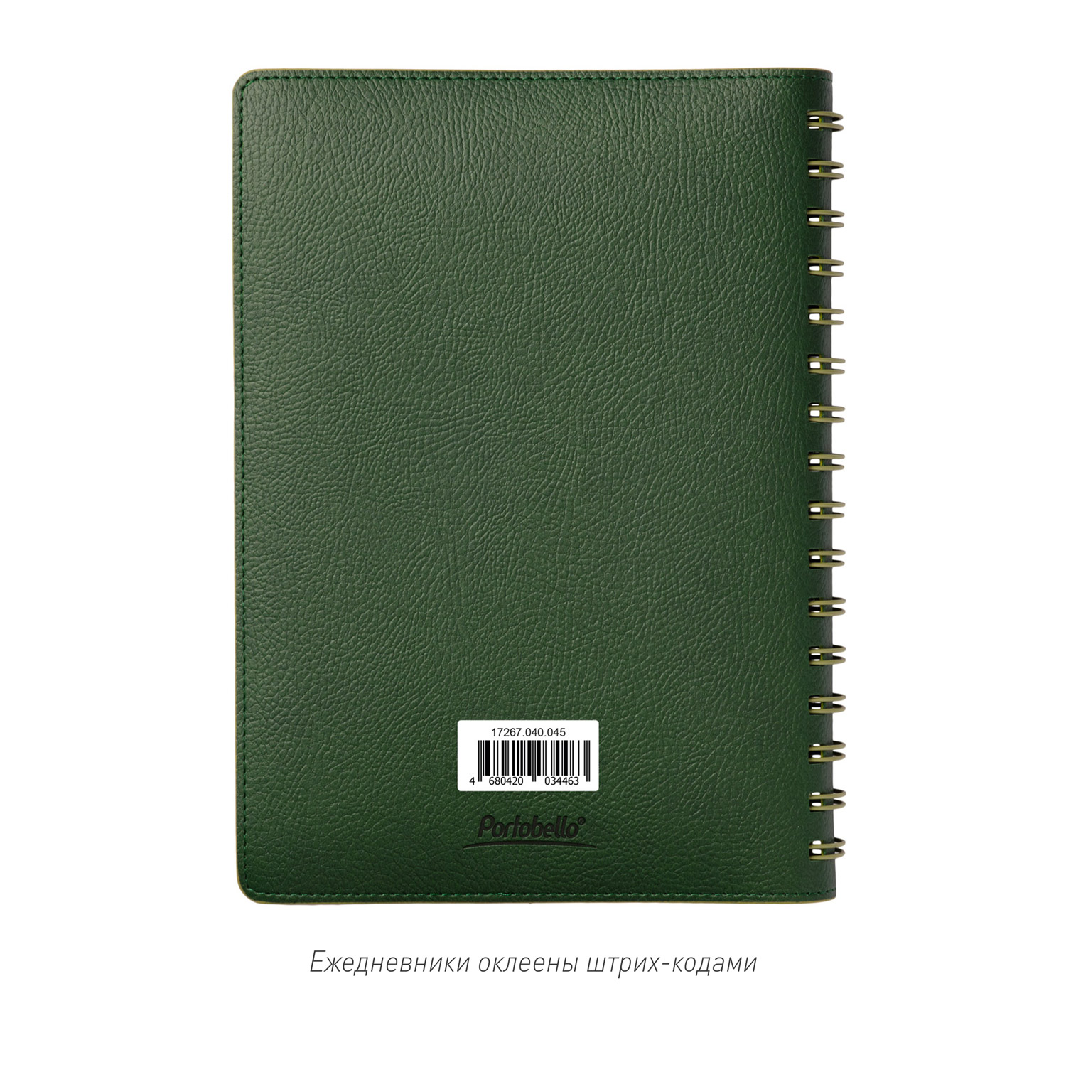 Ежедневник Виста (Vista) недатированный, зеленый/салатовый-14