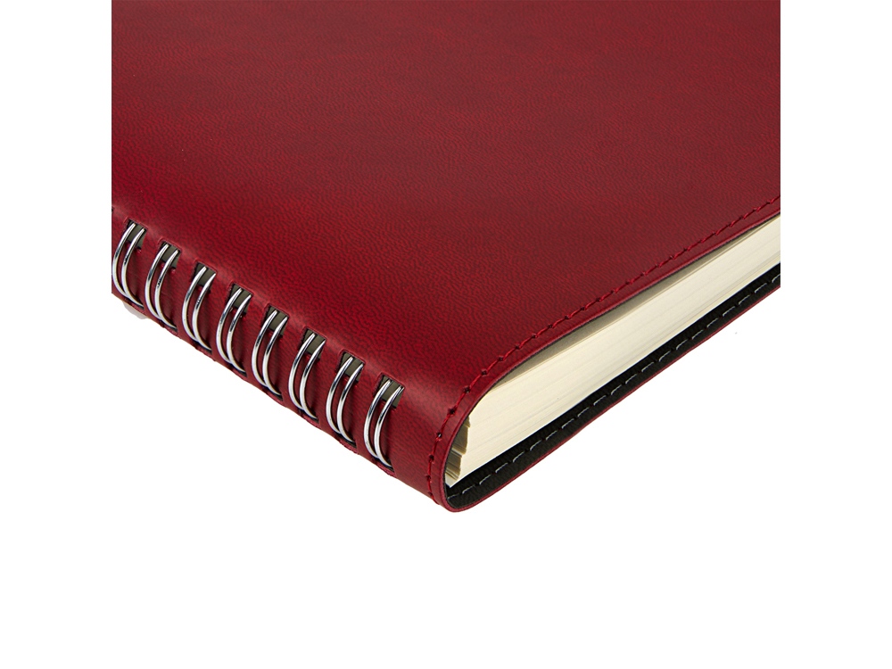 Ежедневник А5 Tintoretto, бордовый-1