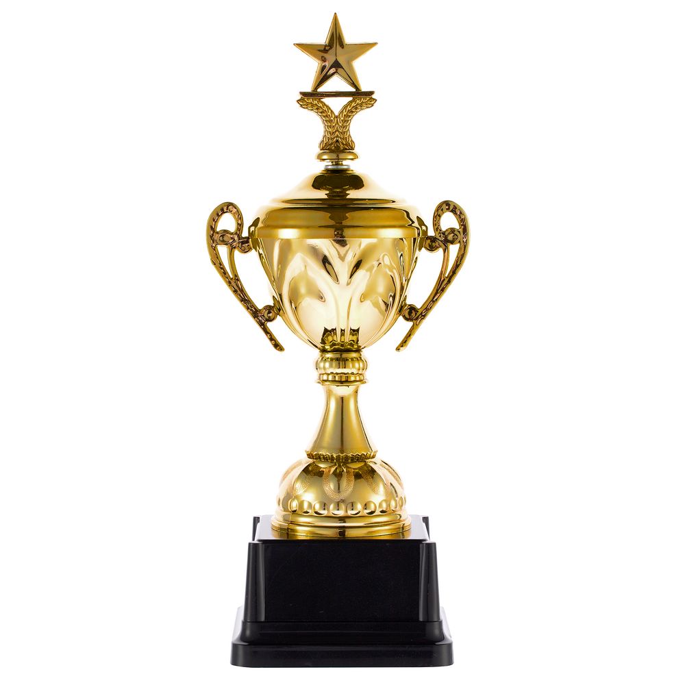 Кубок Top Star, золотистый-0