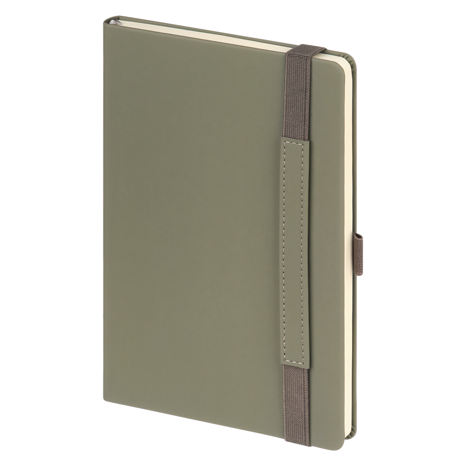 Ежедневник Альфа (Alpha) недатированный, серый/бирюзовый-4