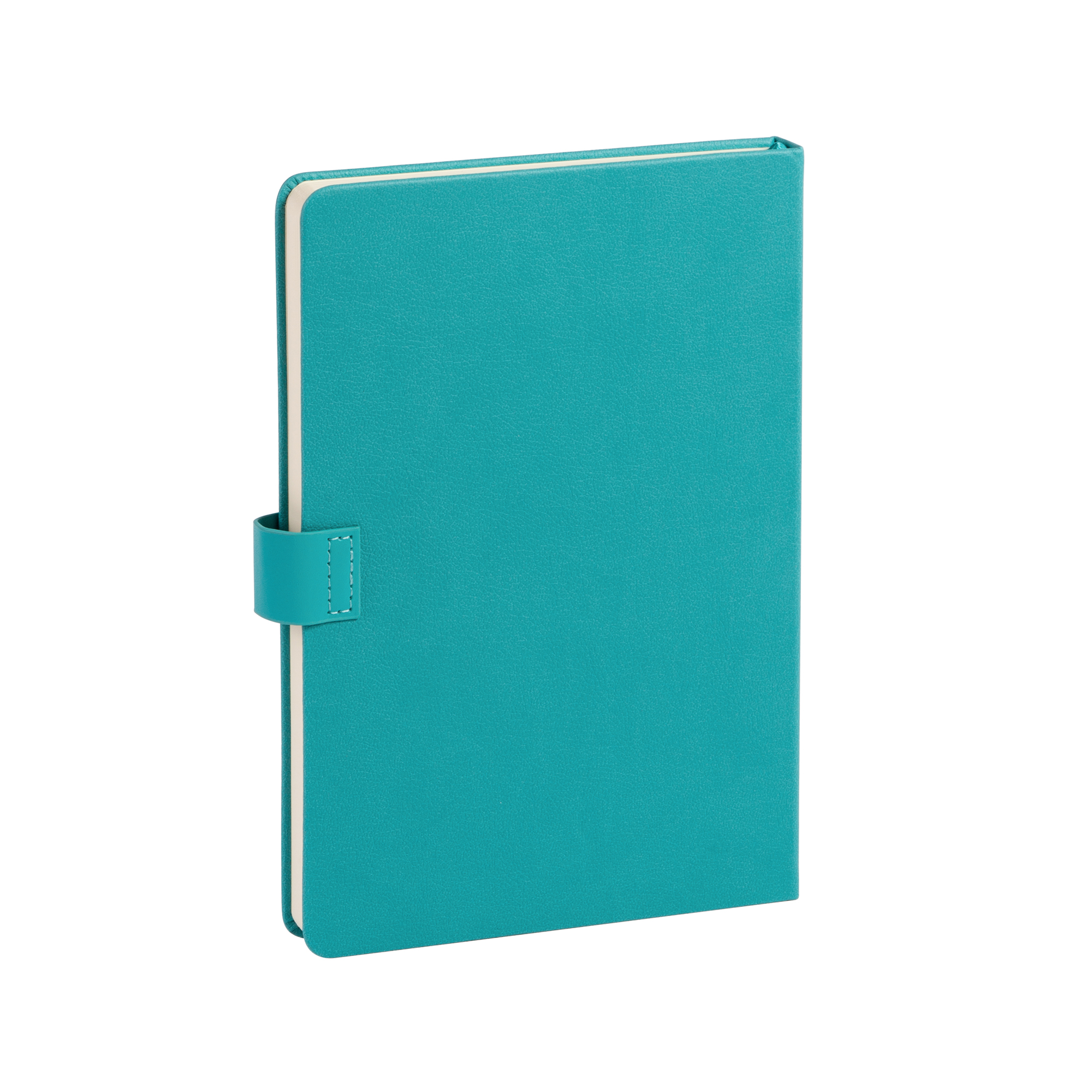 Ежедневник недатированный "Монти", формат А5-2