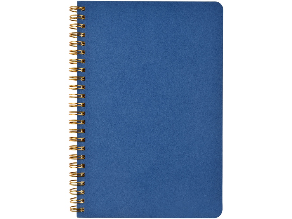Бизнес тетрадь на гребне А5 Pragmatic, 60 листов в клетку, синий-1