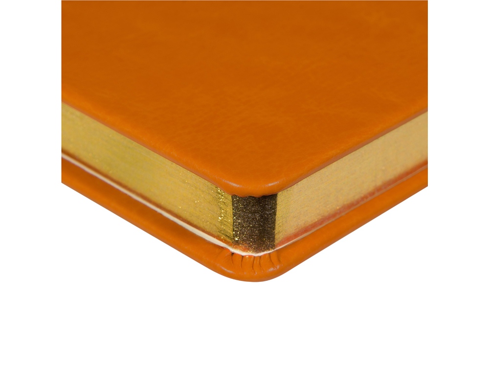 Ежедневник недатированный А5 Megapolis Nebraska, оранжевый с золотым обрезом-2