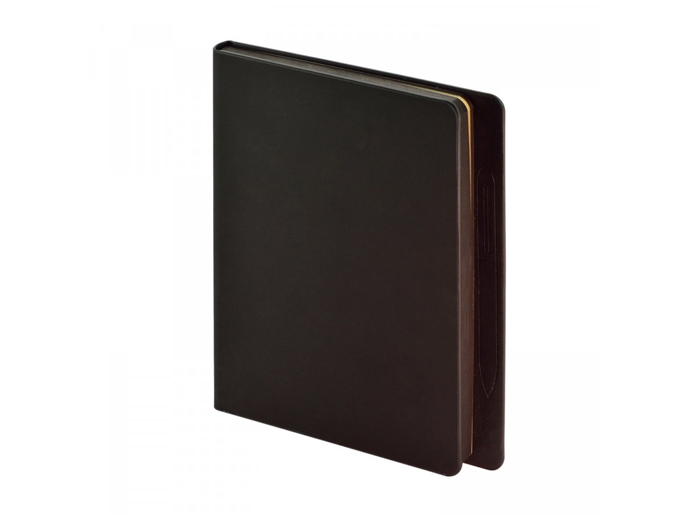 Ежедневник недатированный А5 Megapolis Magnet, черный-0