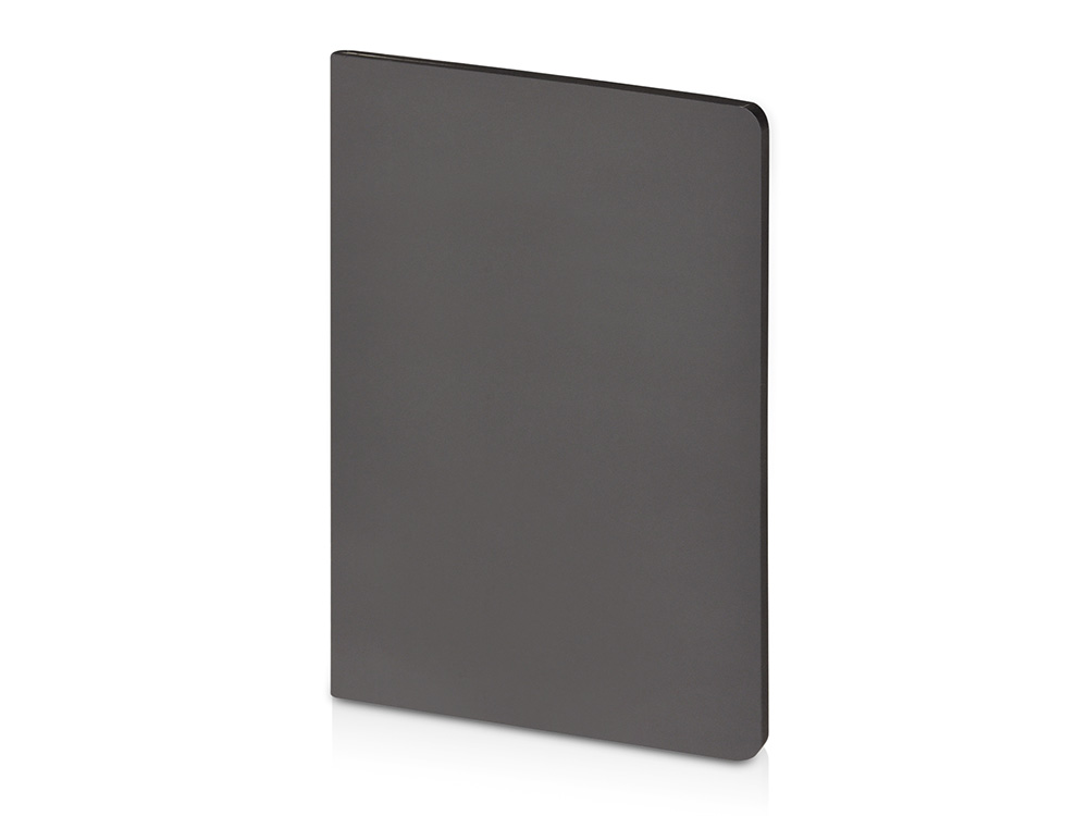 Бизнес-тетрадь А5 Pragmatic Contrast, 40 листов в клетку, серый с черным срезом-0