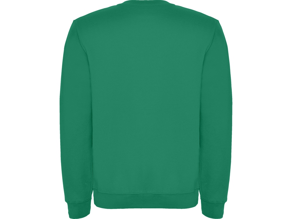 Свитшот с начесом Clasica детский, зеленый-1