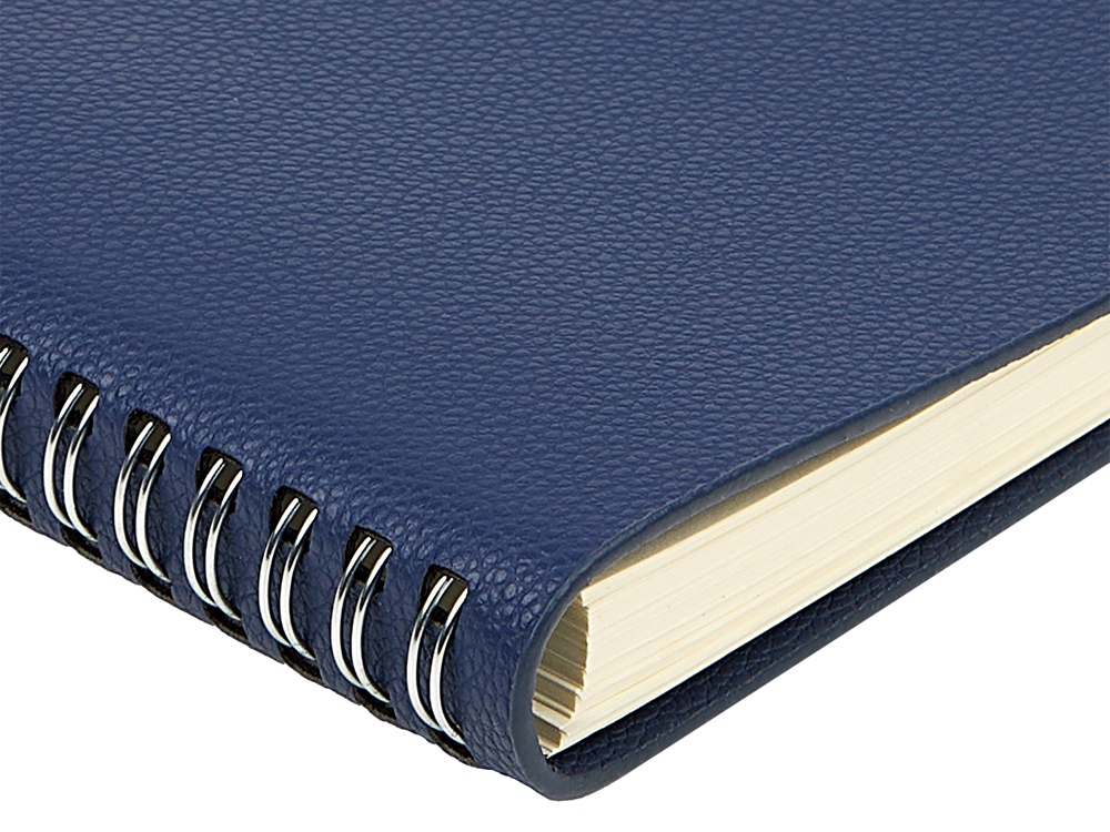 Ежедневник недатированный А5 Alba, синий-4