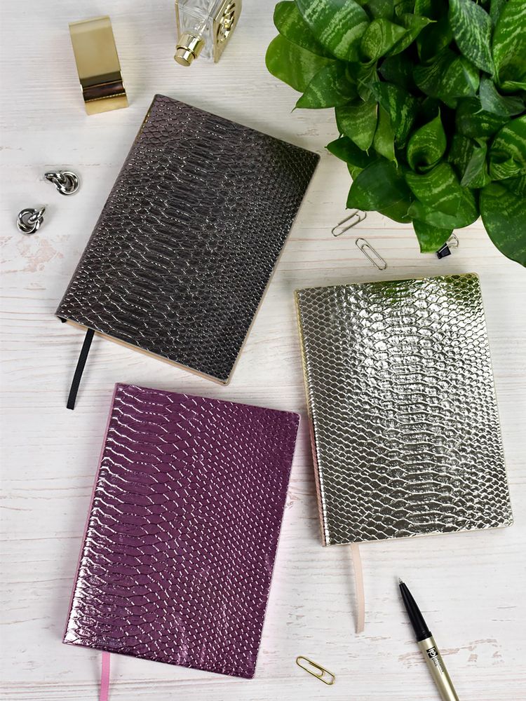 Ежедневник Anaconda, недатированный, серебристый-6