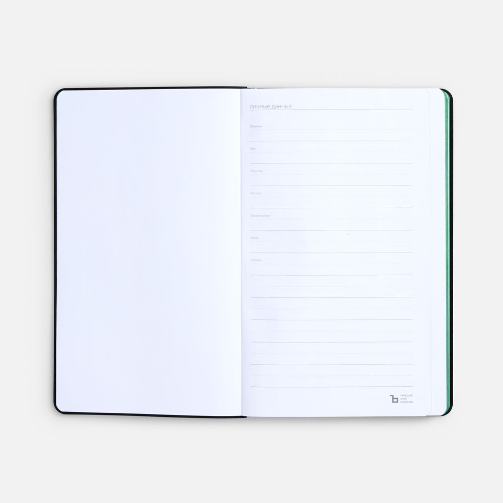 Ежедневник Nice Twice, недатированный, черный с ярко-зеленым-4