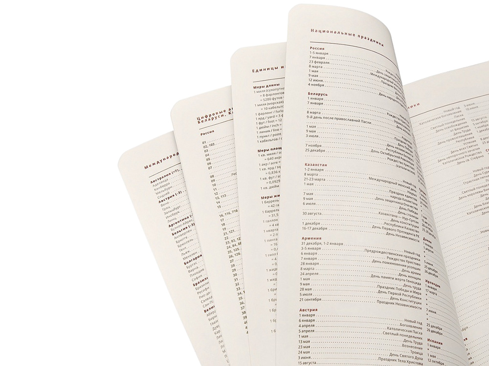 Ежедневник недатированный А5 Parliament, темно-серый-4