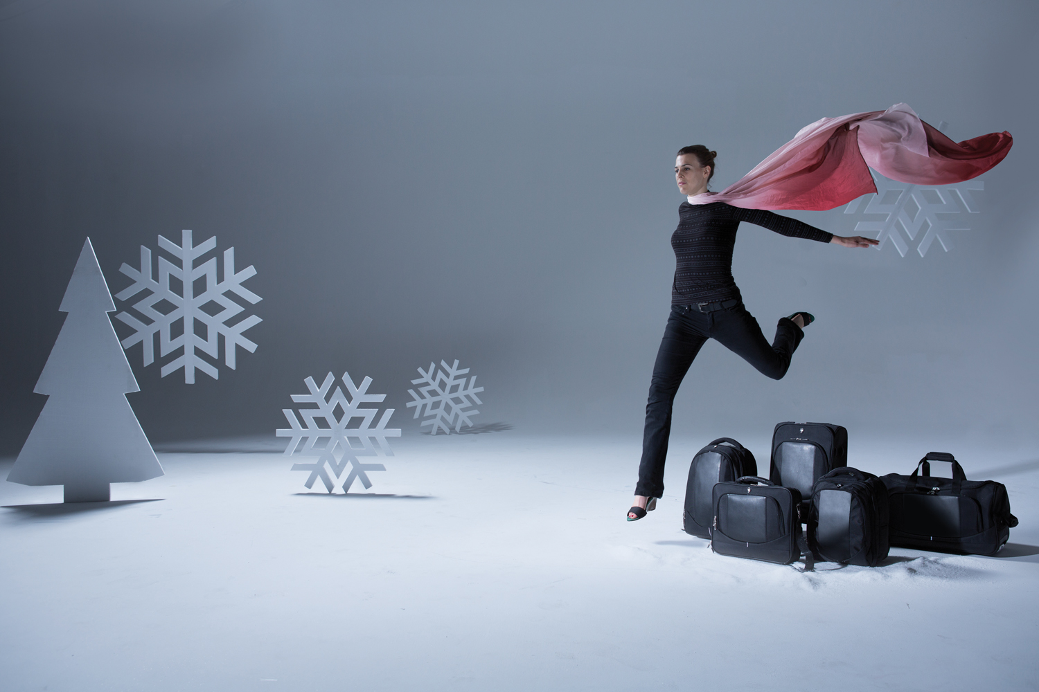 Сумка для ноутбука Swiss Peak-4