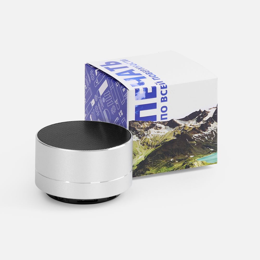 Коробка с полноцветной печатью для колонки Easy-1