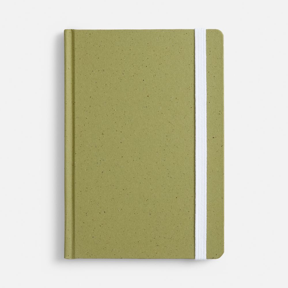 Блокнот Lactonica, зеленый-1