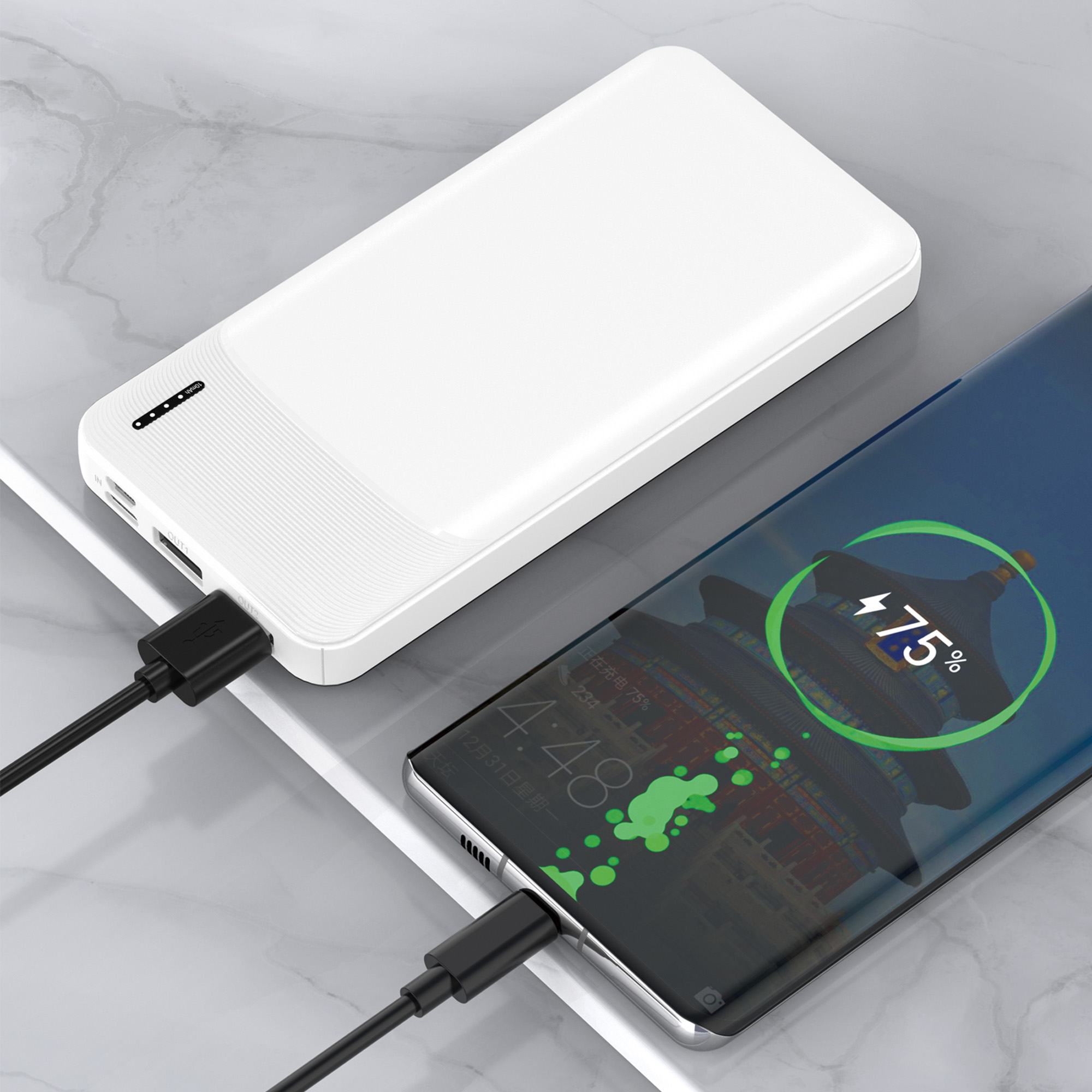 Зарядное устройство "Ten" 10000 mAh-5