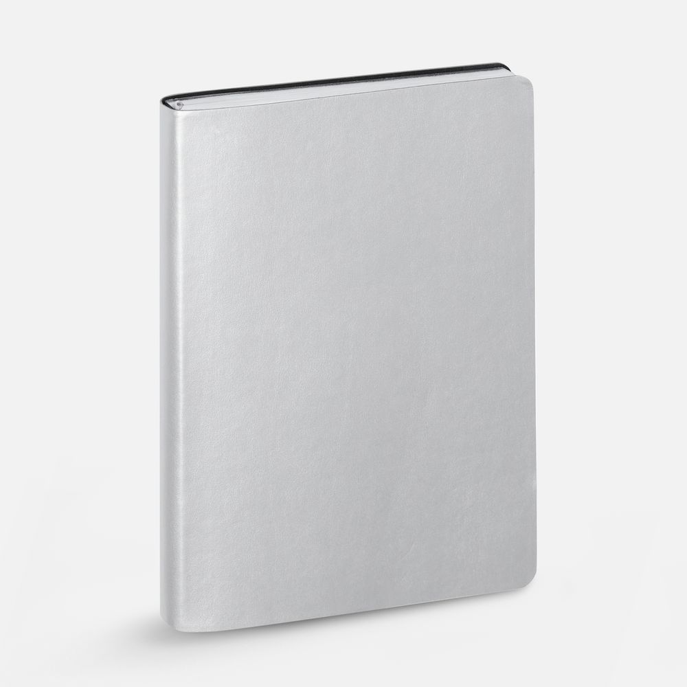 Ежедневник Nebraska Flex, недатированный, ver. 2, серебристый-1