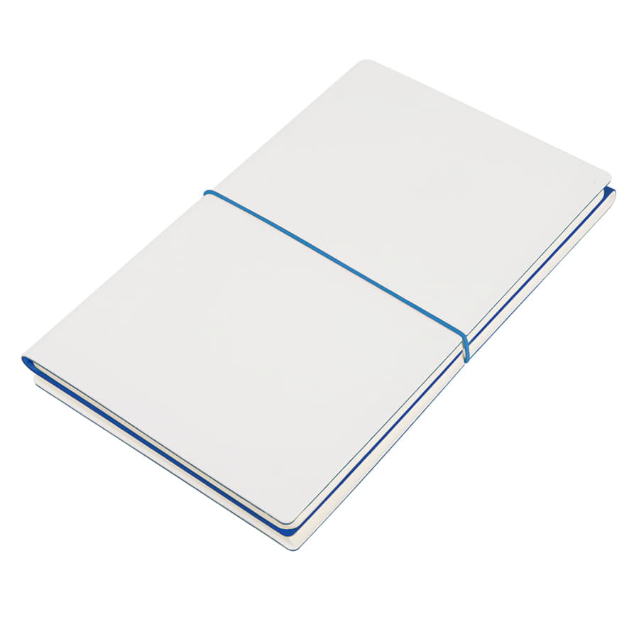 Набор подарочный SILENT-ZONE: бизнес-блокнот, ручка, наушники, коробка, стружка, бело-синий, белый, синий-1